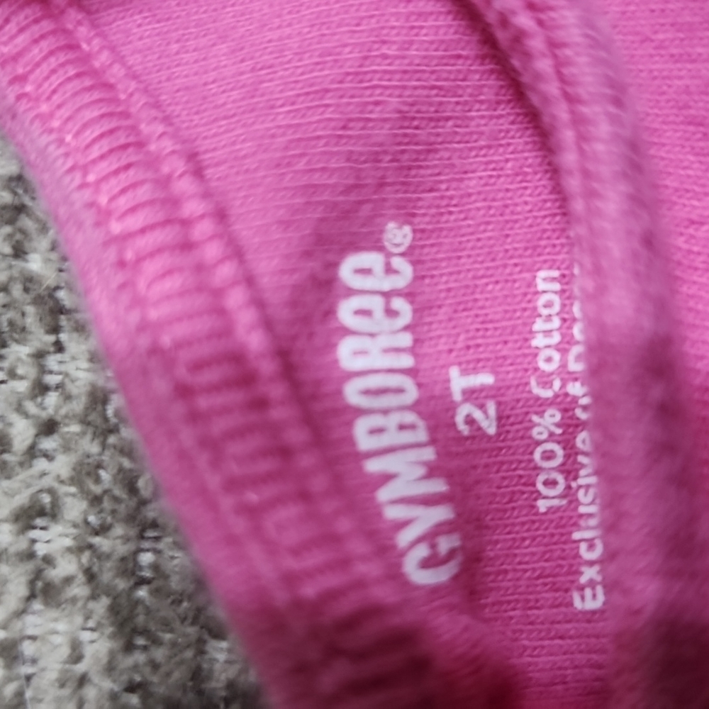 4 Piece Gymboree Set - Picture 10 of 13